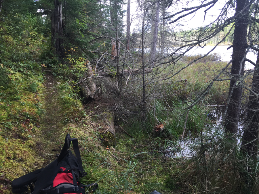 Angleworm Lake BWCA