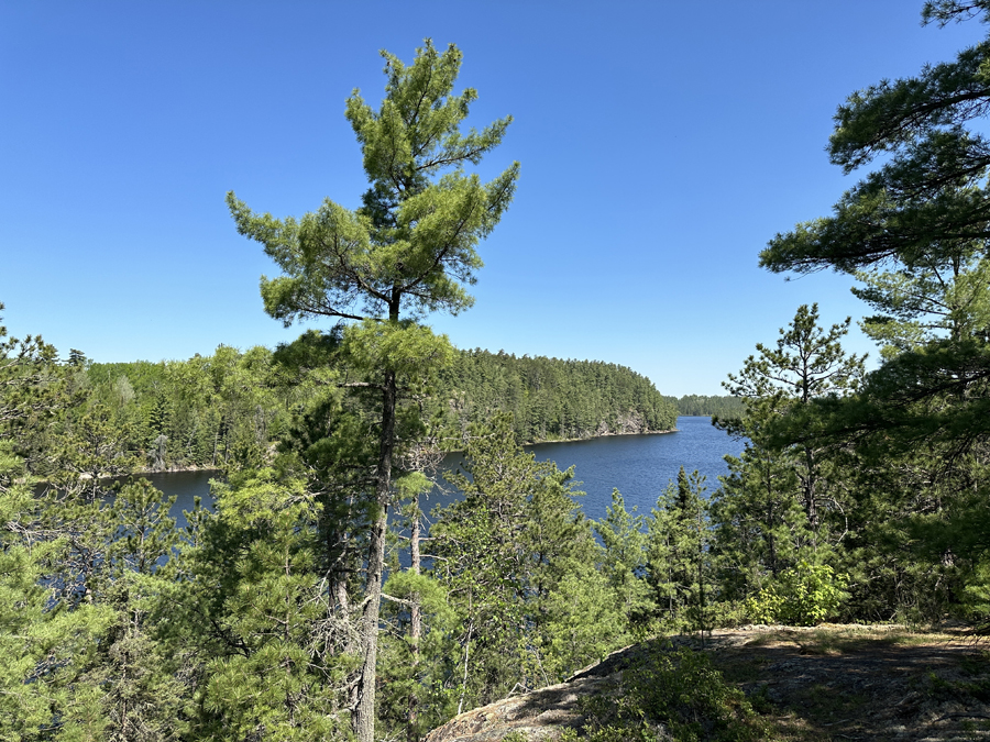 Angleworm Lake Trail 3