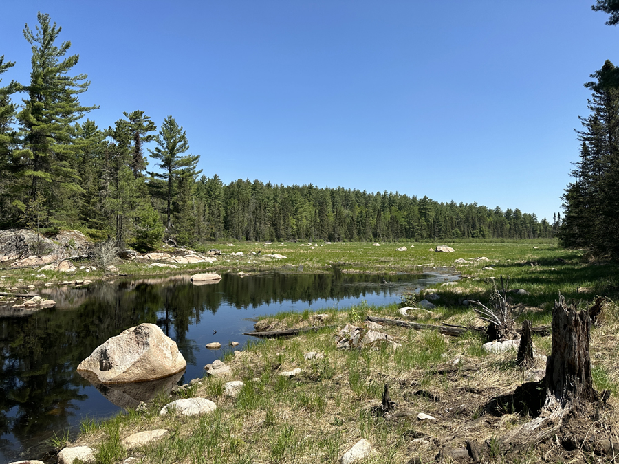 Angleworm Lake Trail 5