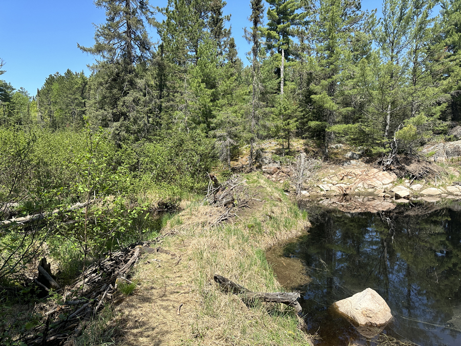 Angleworm Lake Trail 4