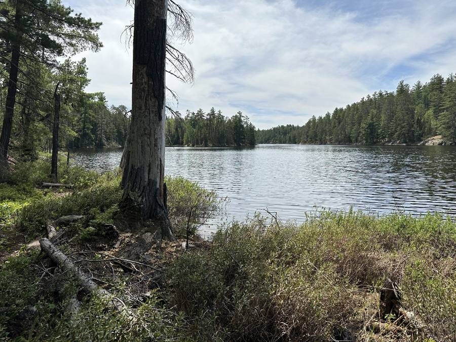 Angleworm Lake Trail 9