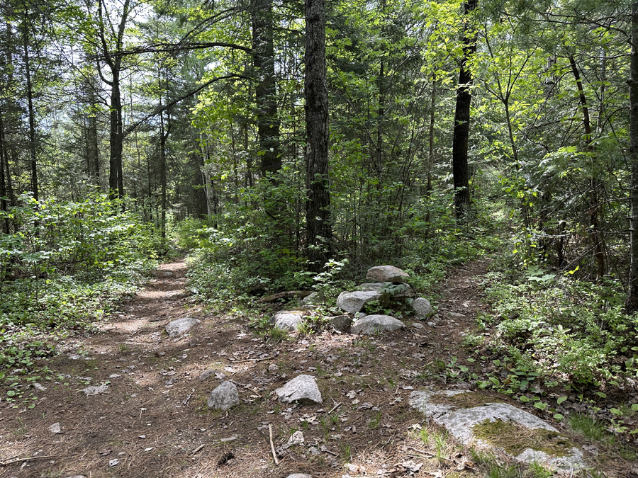 Angleworm Lake Trail 15