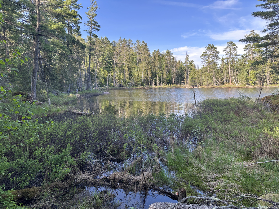 Angleworm Lake Trail 21