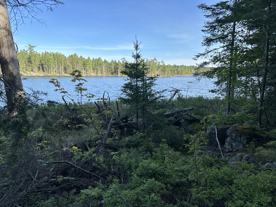 Angleworm Lake Trail 22