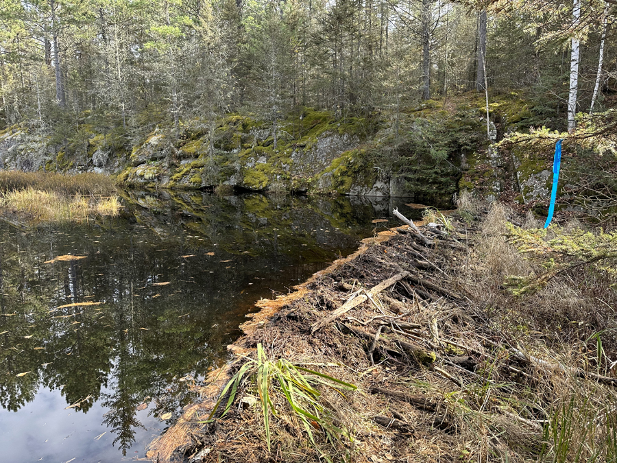 Benezie-Becoosin Loop Trail 2