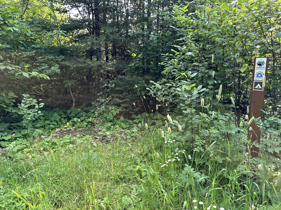 Border Route Trail Campsite 2