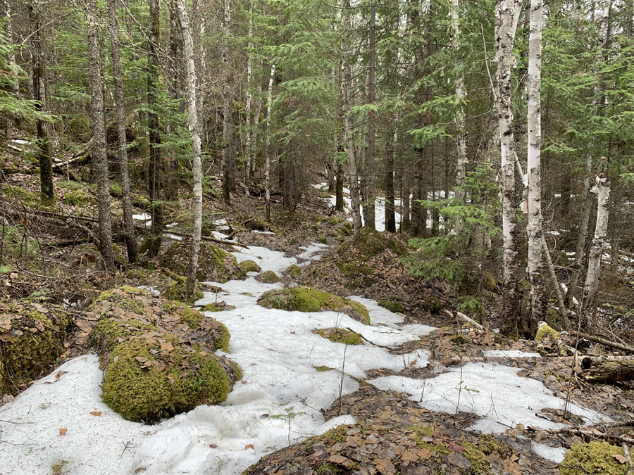 Brule Lake Trail 6