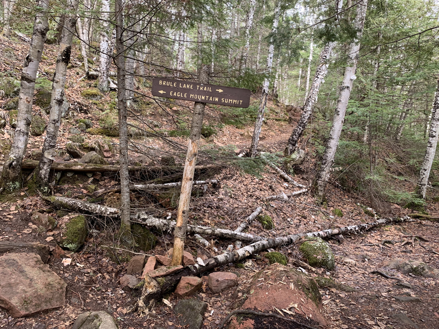 Brule Lake Trail 8