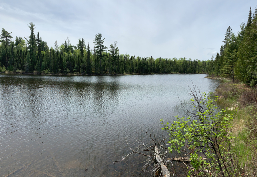 Brule Lake Trail 8