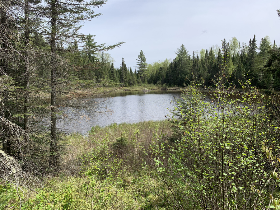 Brule Lake Trail 9