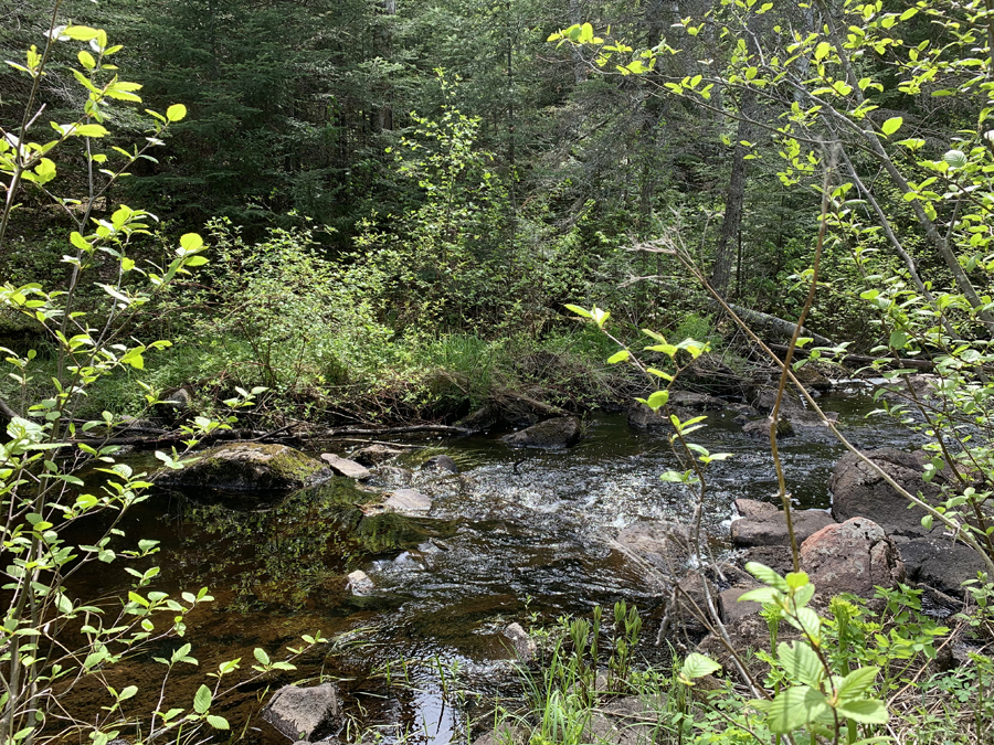 Brule Lake Trail 12