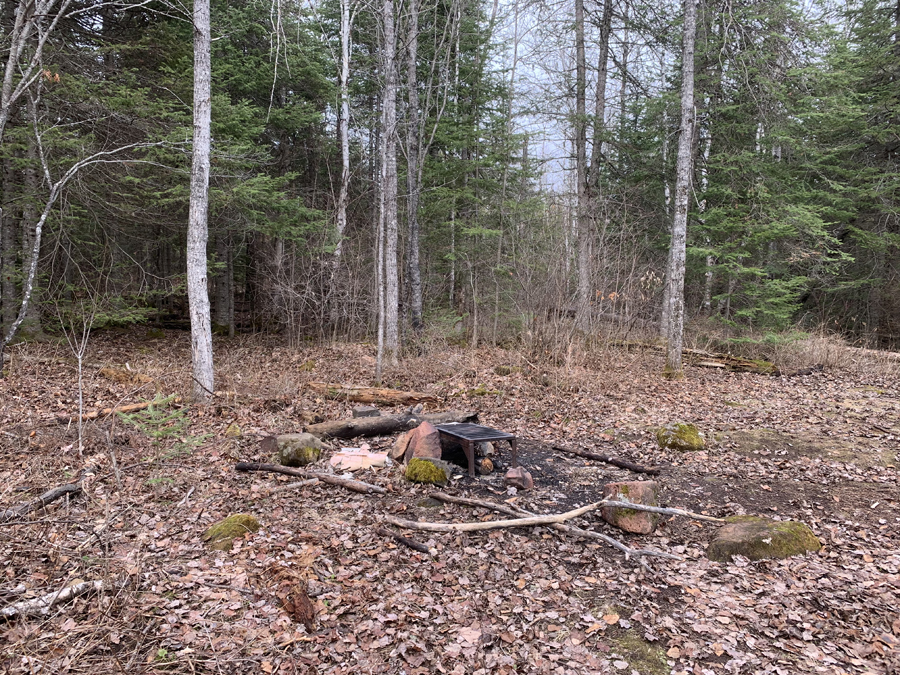 Whale Lake Campsite 2