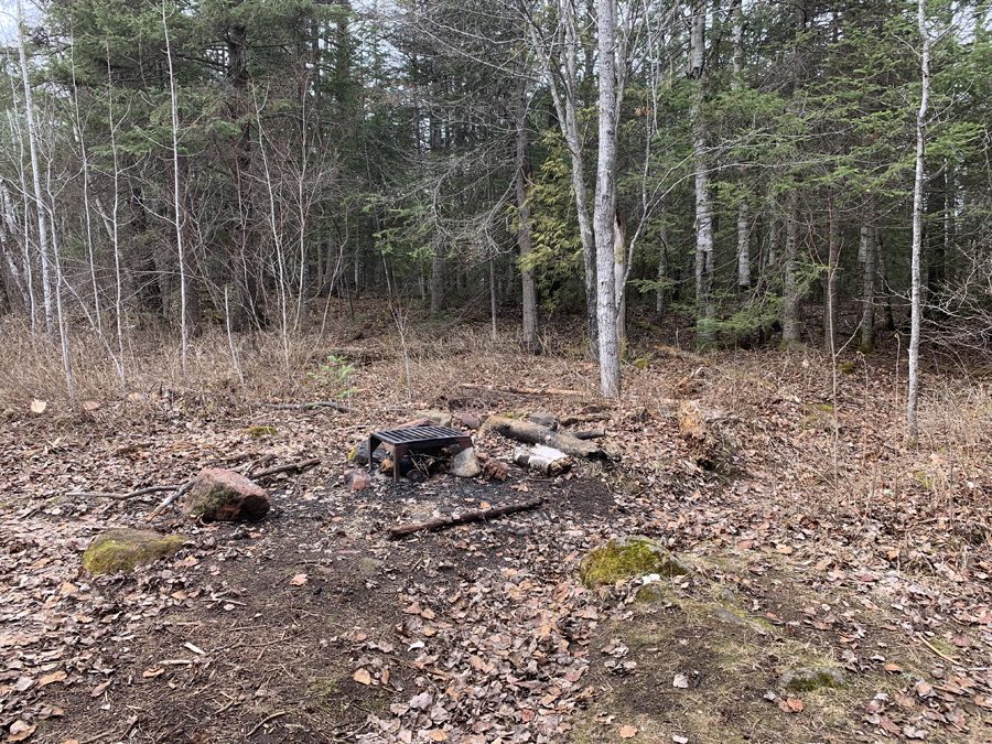 Whale Lake Campsite 3