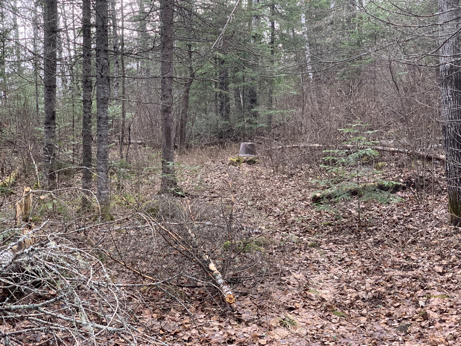 Whale Lake Campsite 5