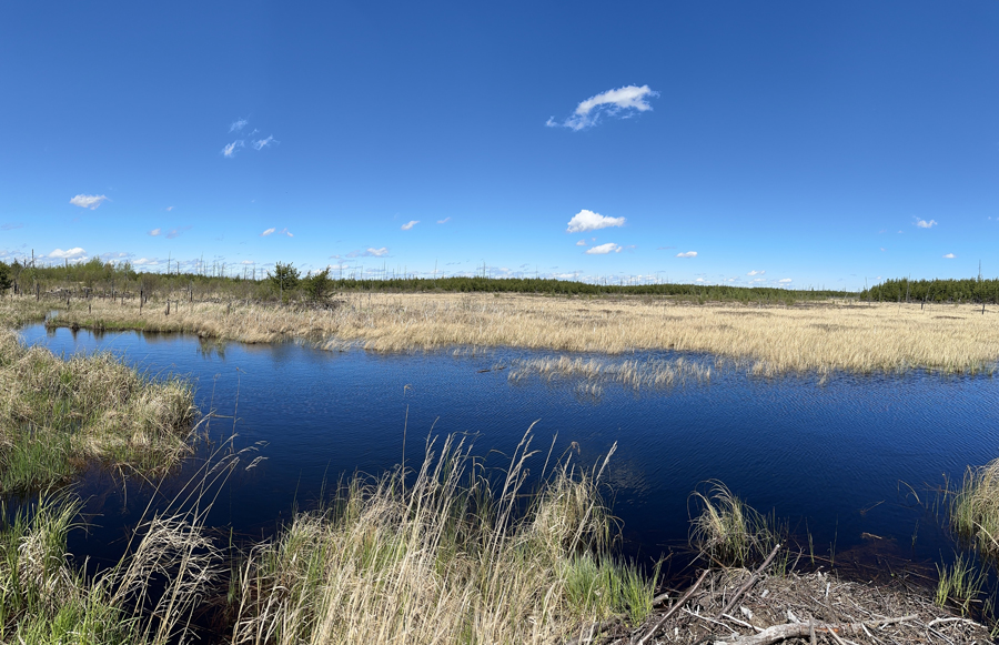 Powwow Trail 15