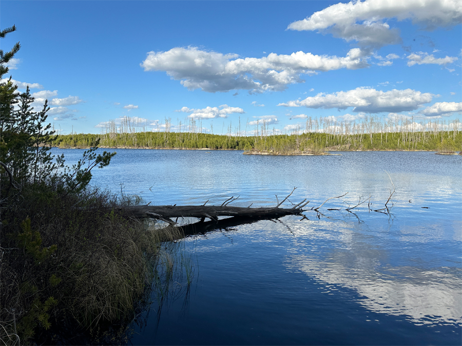 Powwow Trail 19