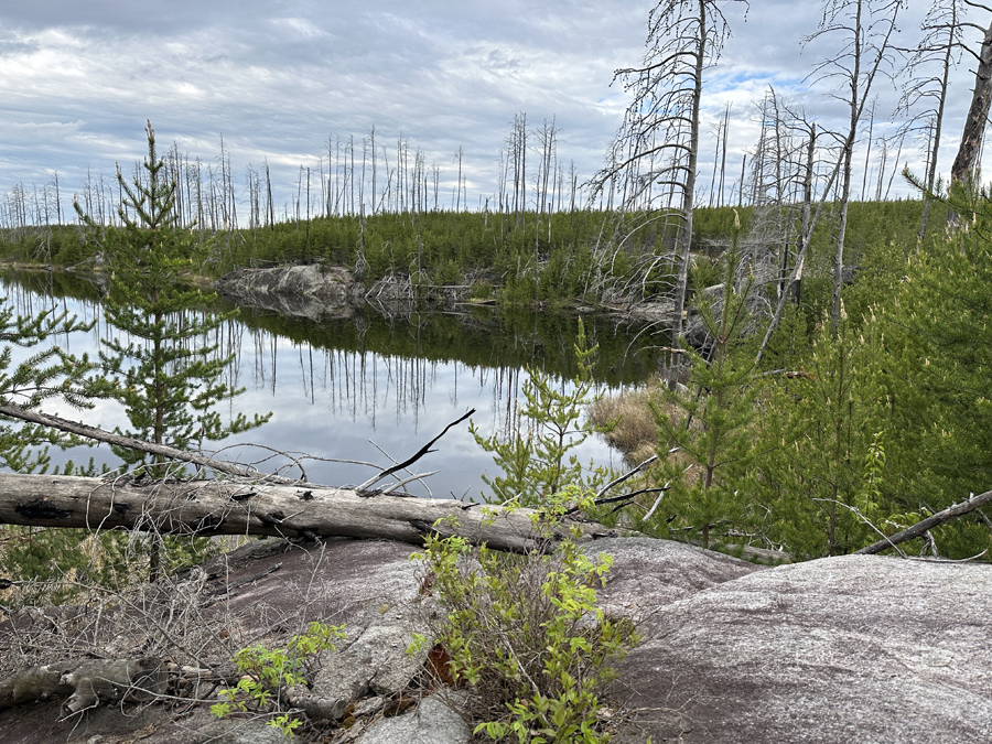 Powwow Trail 21