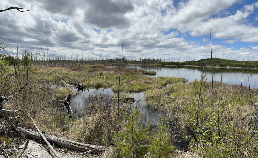 Powwow Trail 23