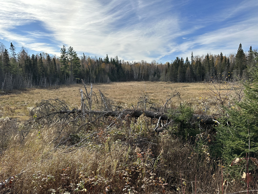 Snowbank Lake Trail 6