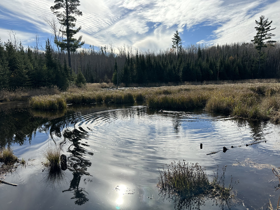 Snowbank Lake Trail 4