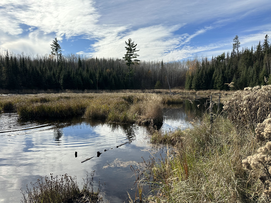 Snowbank Lake Trail 3