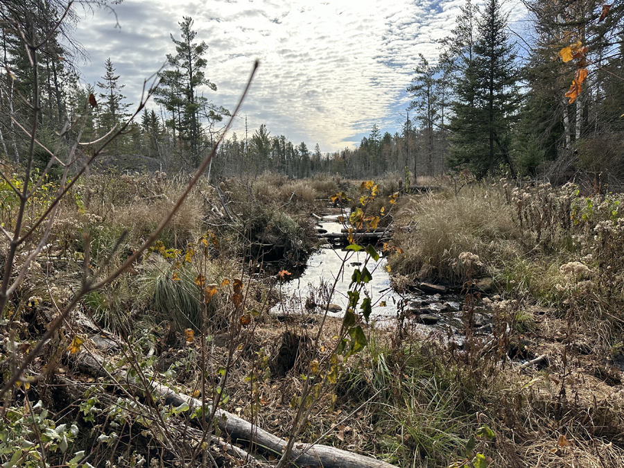 Snowbank Lake Trail 2