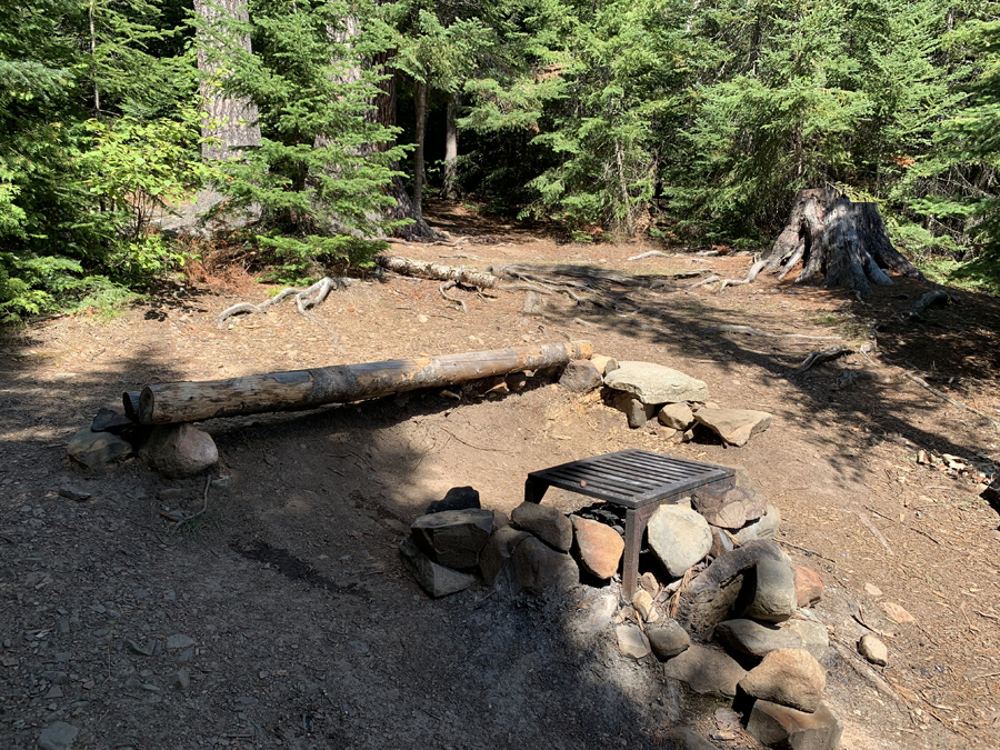 Alder Lake Campsite 2