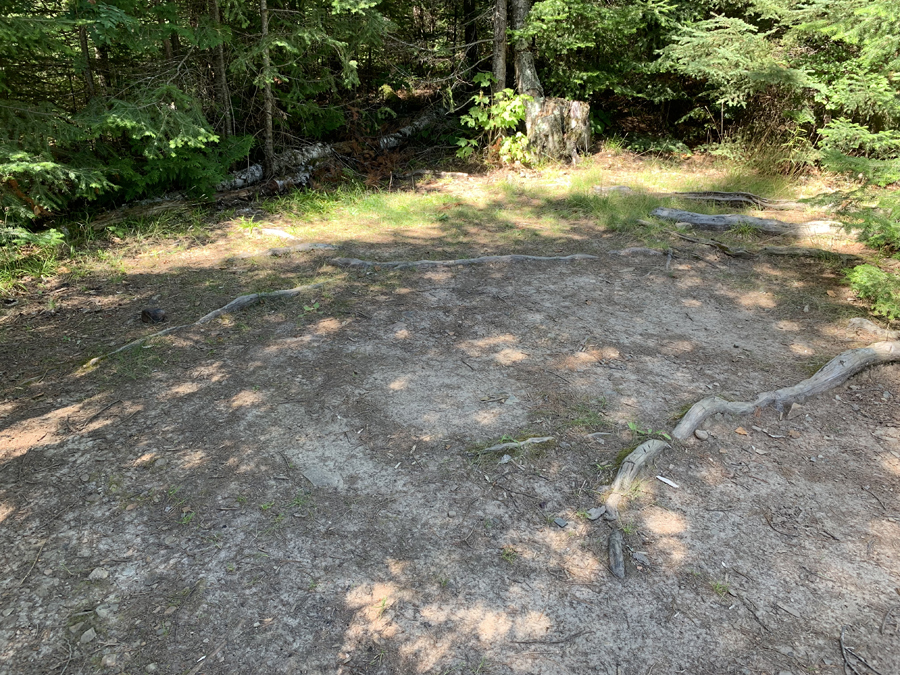 Alder Lake Campsite 4