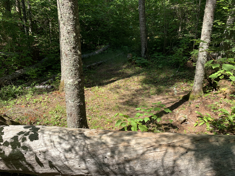 Alder Lake Campsite 7