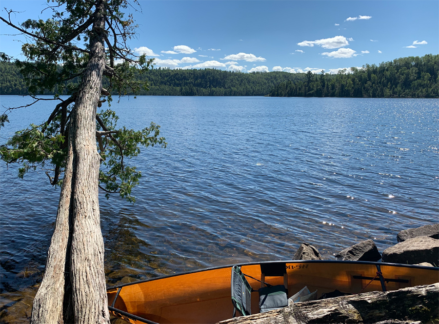 Alder Lake Campsite 1