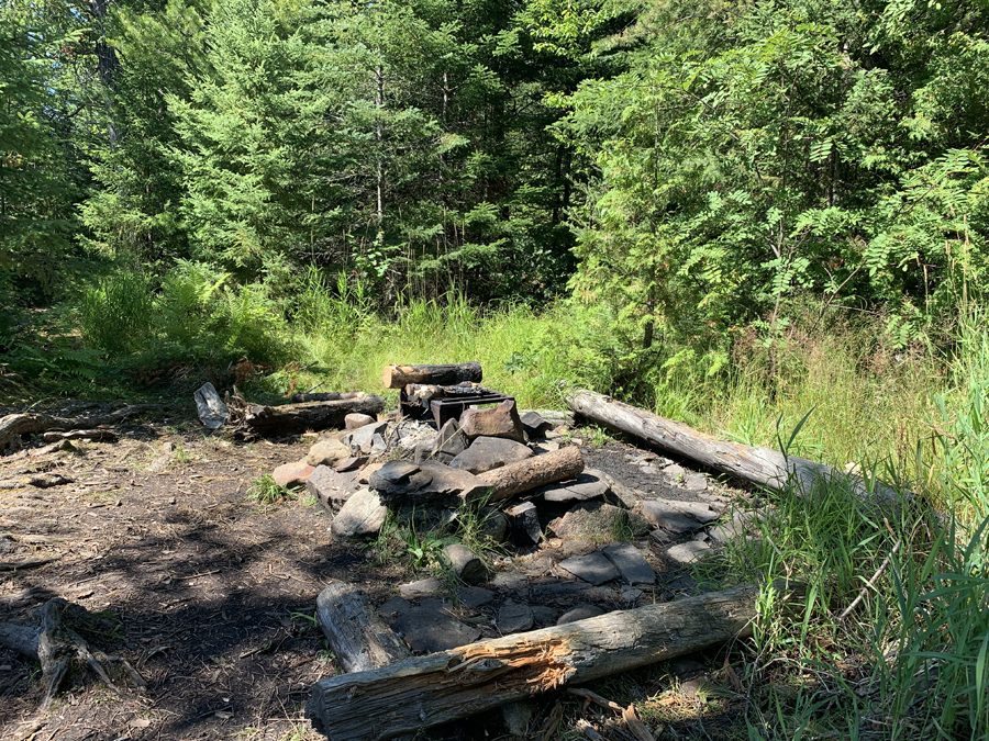 Alder Lake Campsite 2