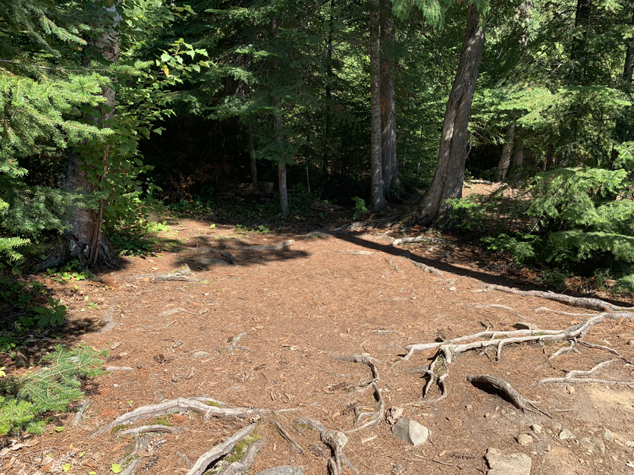 Alder Lake Campsite 5