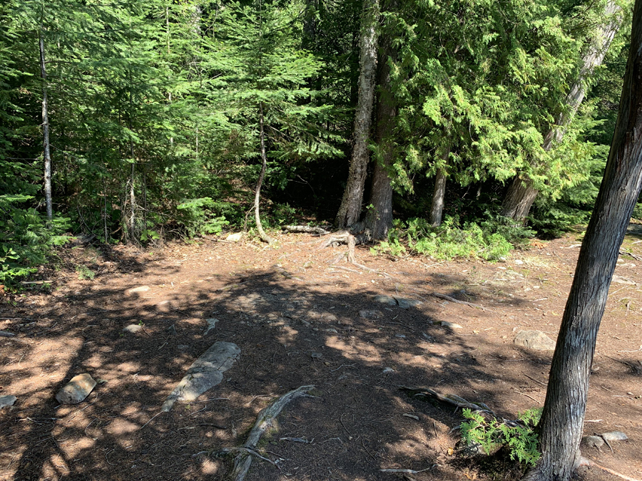 Alder Lake Campsite 6