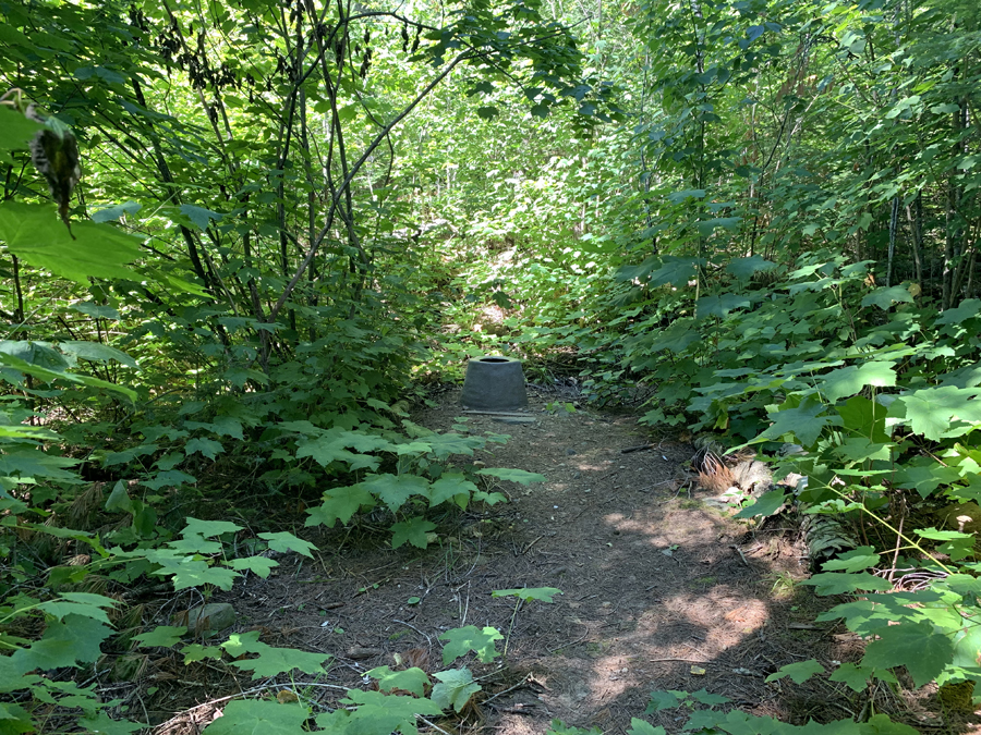 Alder Lake Campsite 7