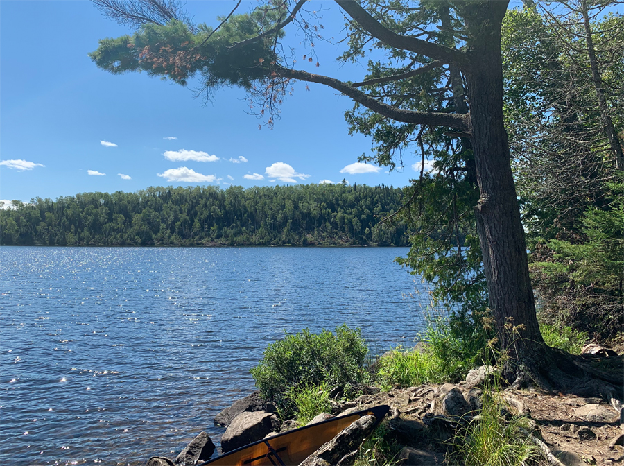 Alder Lake Campsite 8