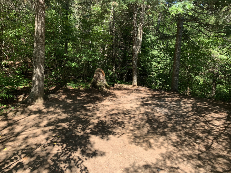 Alder Lake Campsite 5