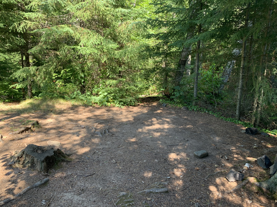 Alder Lake Campsite 6