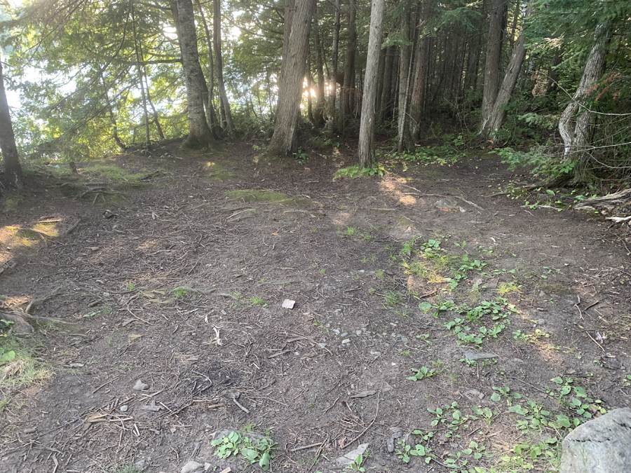 Alder Lake Campsite 3