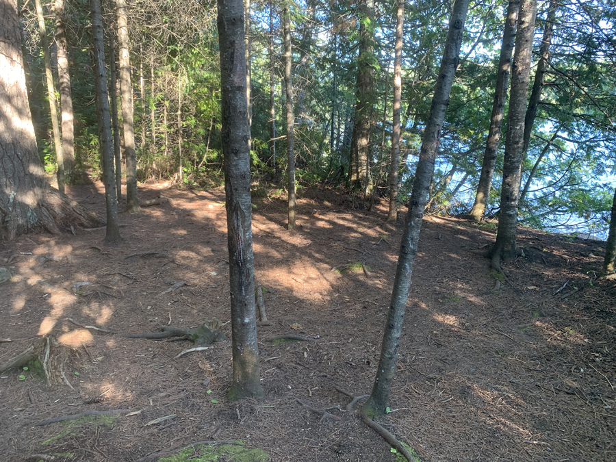 Alder Lake Campsite 4