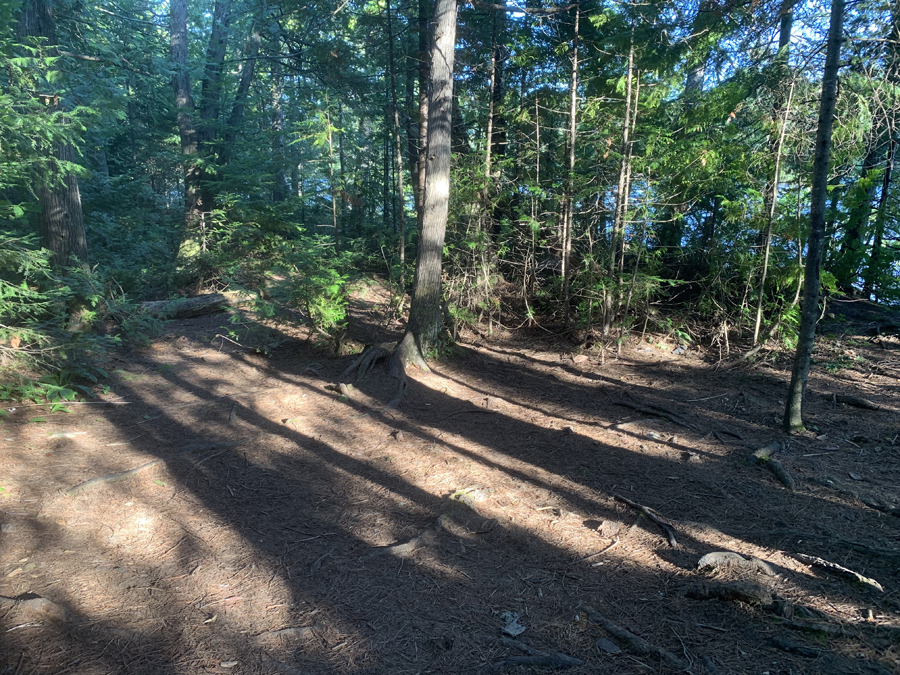 Alder Lake Campsite 5