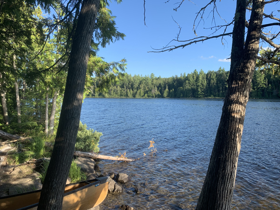 Alder Lake Campsite 8