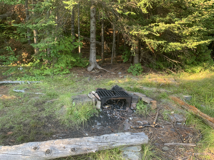 Alder Lake Campsite 1