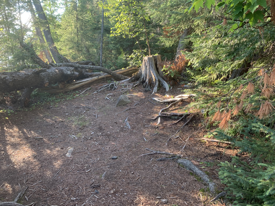 Alder Lake Campsite 3