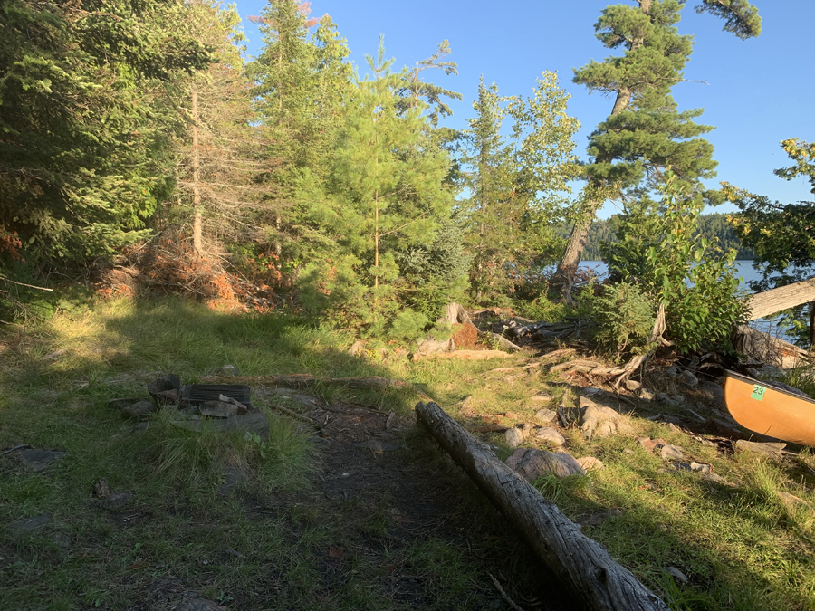 Alder Lake Campsite 2