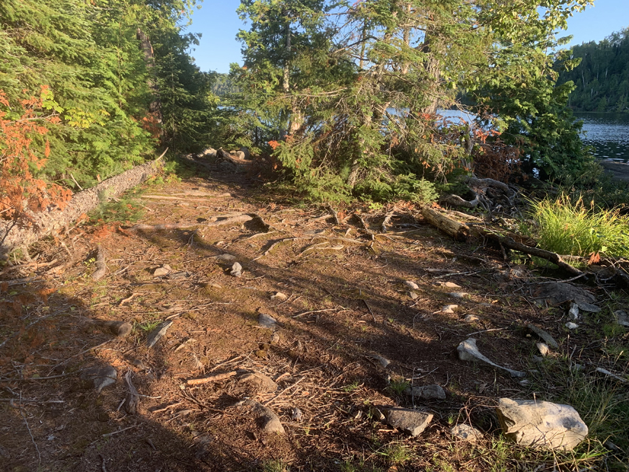 Alder Lake Campsite 4