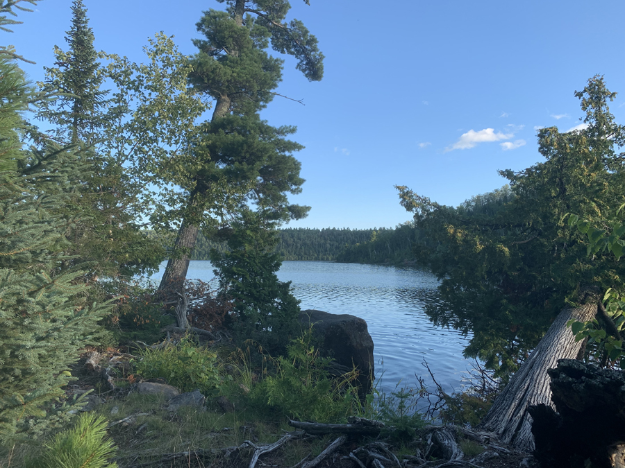 Alder Lake Campsite 7