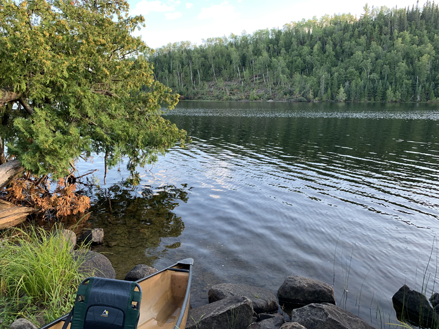 Alder Lake Campsite 8