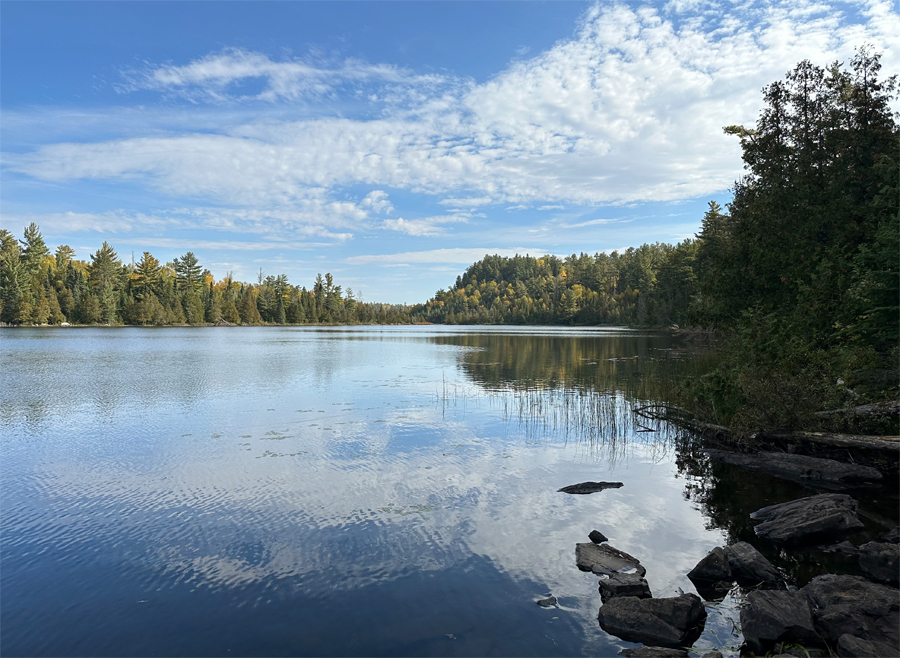 Alder Lake 1