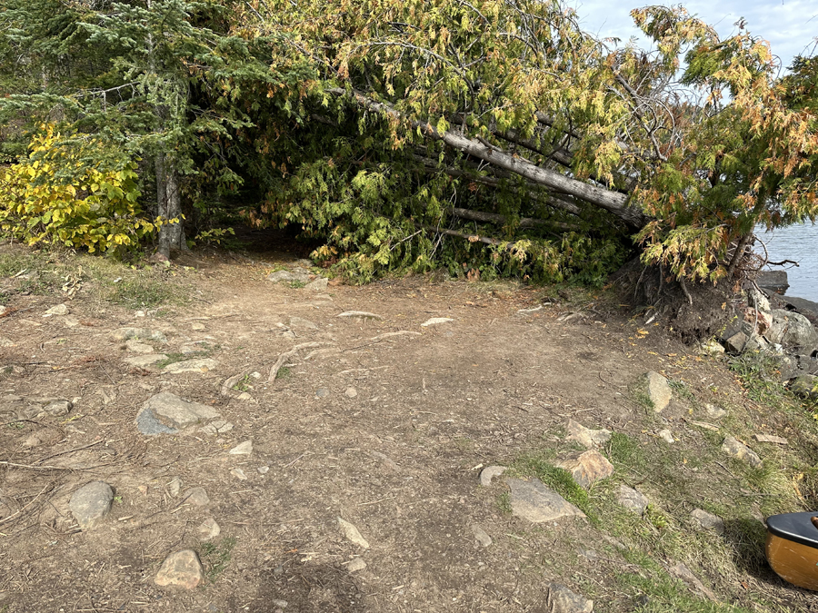 Alder Lake Campsite 2