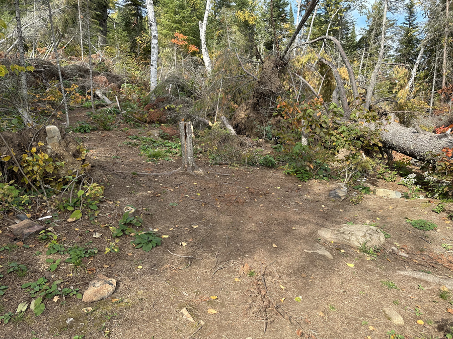 Alder Lake Campsite 5